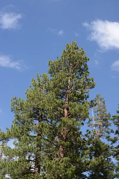 DSC_3031 (Large).JPG